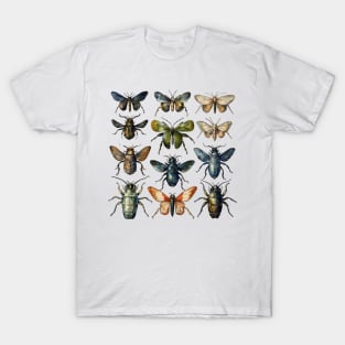 Vintage Insect Entomology T-Shirt